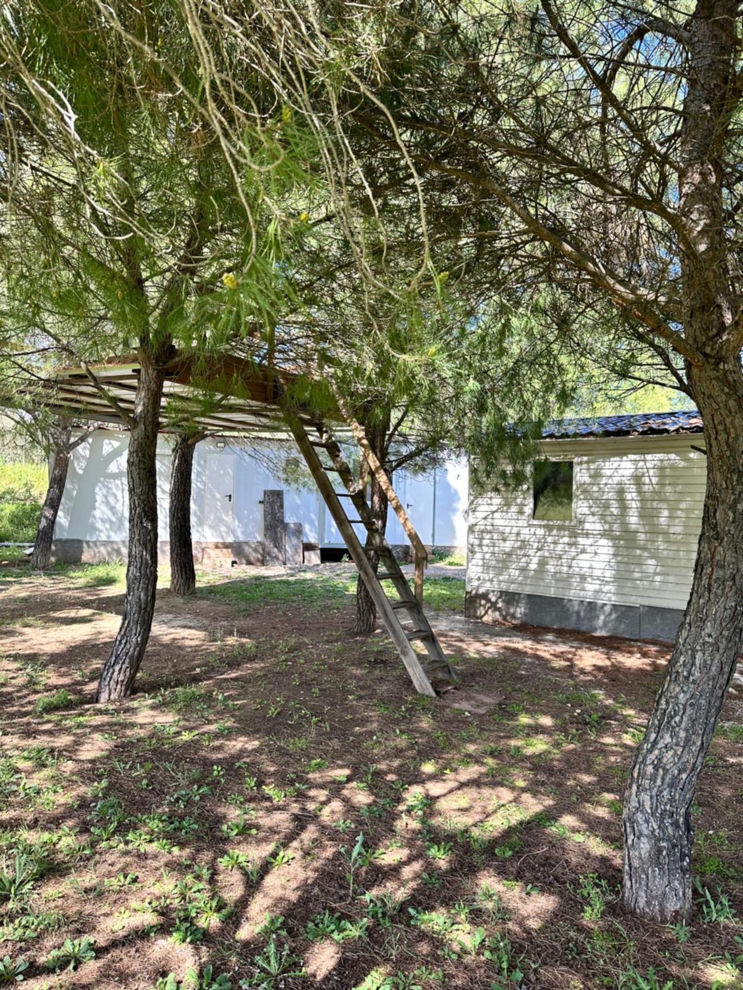 Bungalow Infanta Torrelaguna Eksteriør bilde