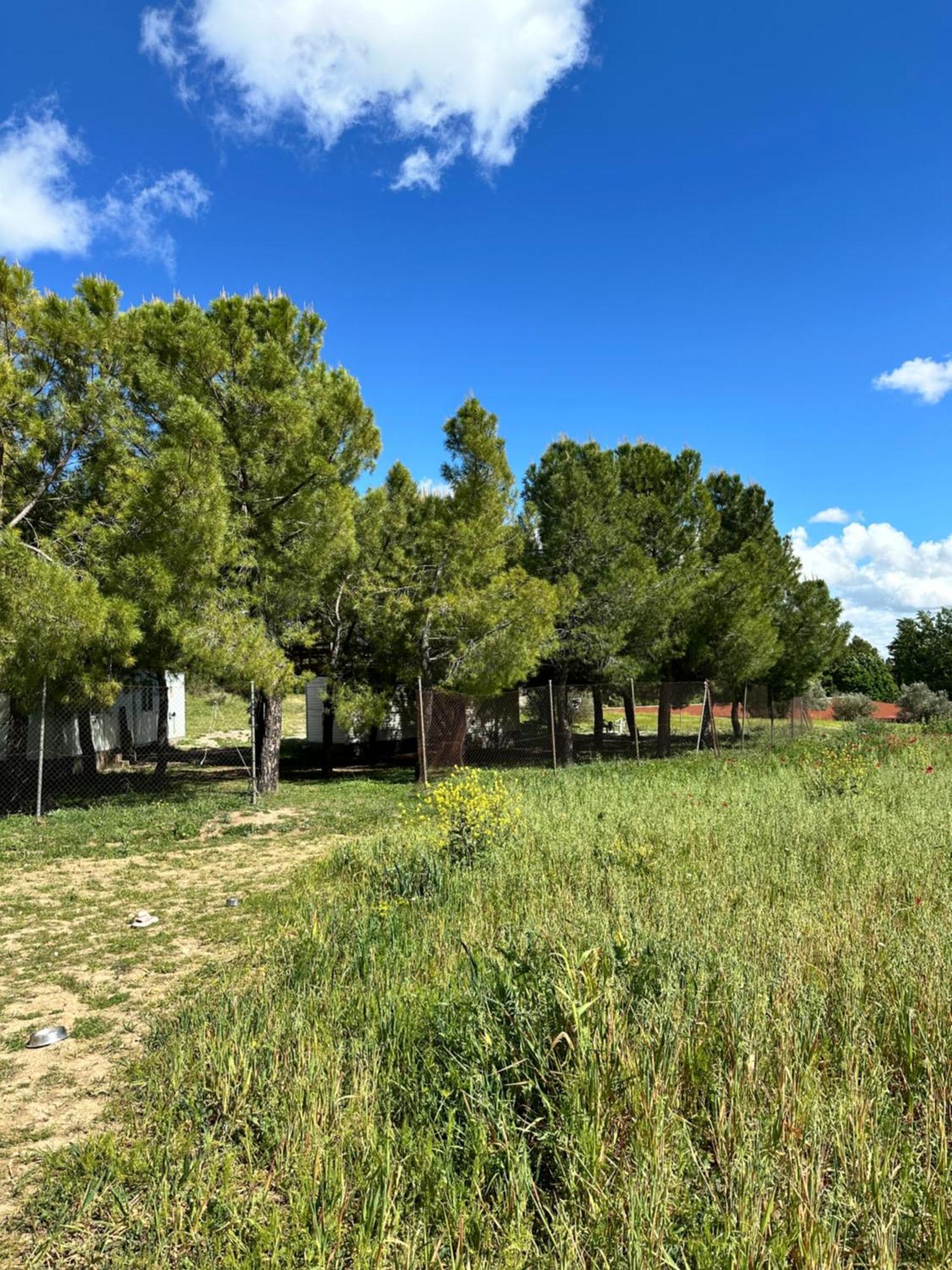 Bungalow Infanta Torrelaguna Eksteriør bilde